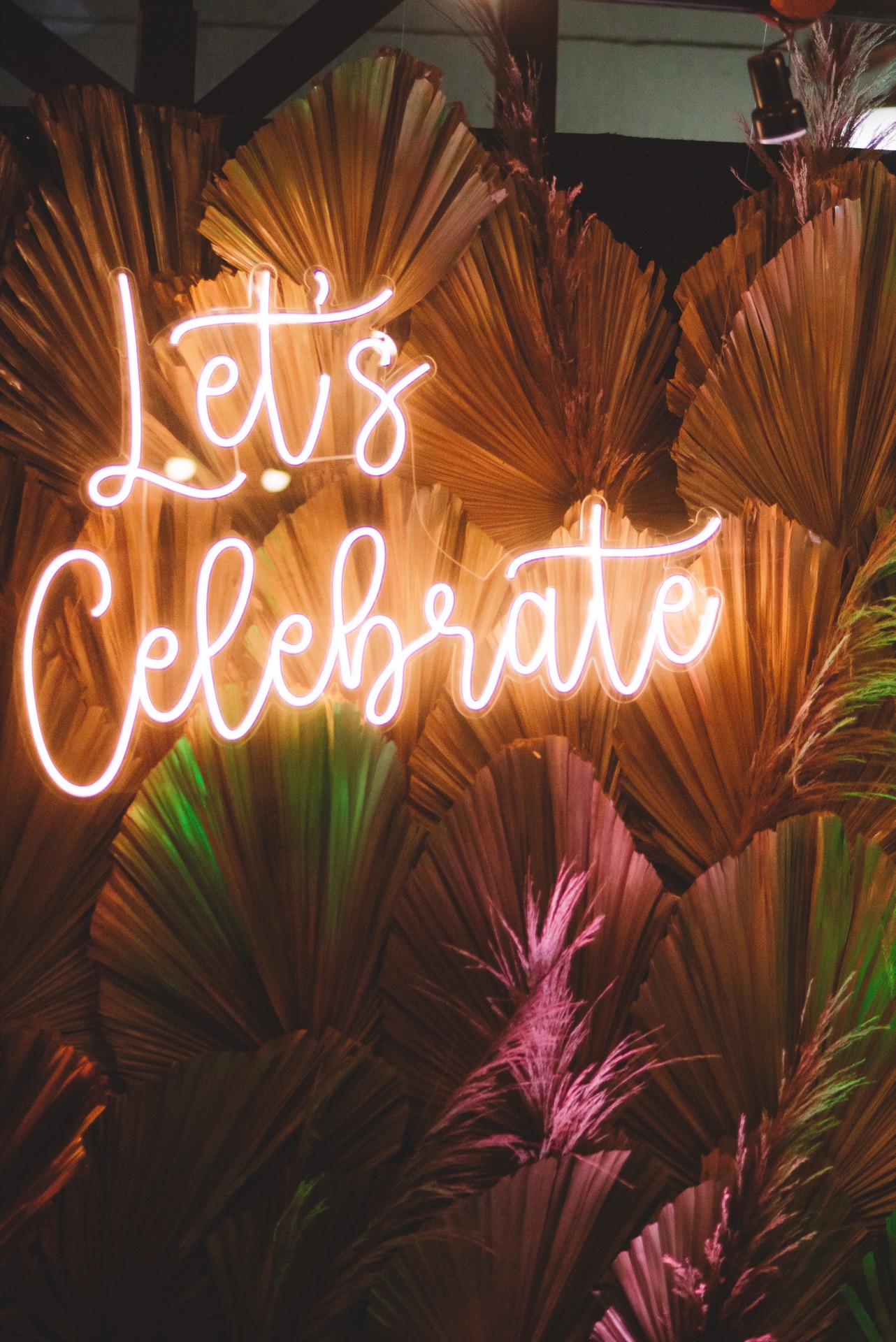 Letreiro neon Let's Celebrate sobre painel de folhas de palmeira secas